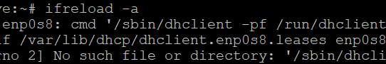 Mengatasi masalah DHCP Client pada Proxmox Virtual Environment (PVE) 9.0